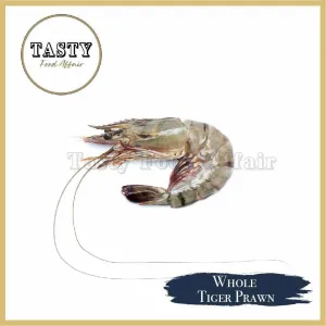 21/25 HOSO Tiger Prawn
