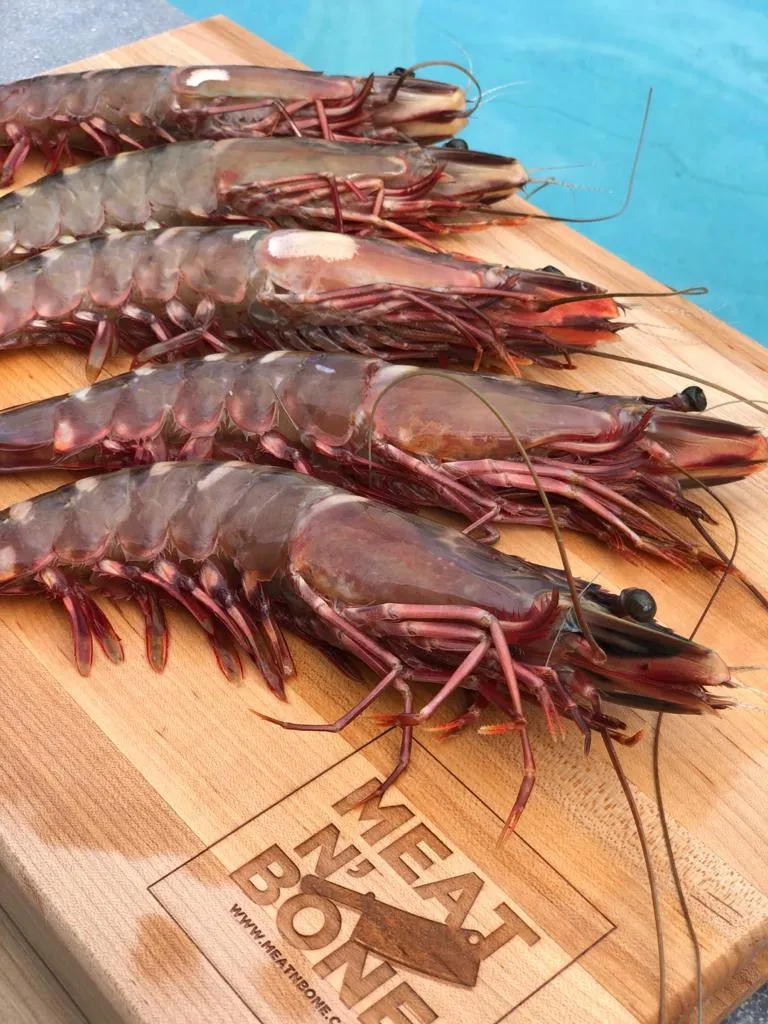 African Tiger Prawns | Wild Caught