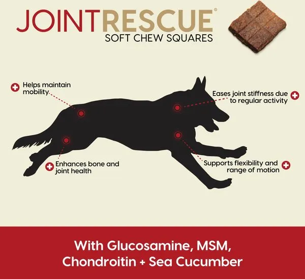 Ark Naturals Sea Mobility Joint Rescue Beef Recipe Jerky Treats