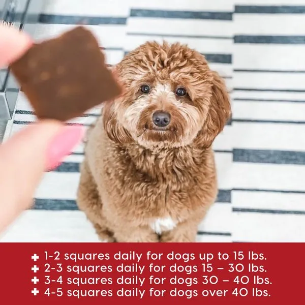 Ark Naturals Sea Mobility Joint Rescue Beef Recipe Jerky Treats