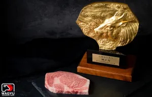 Kobe Beef | A5 Wagyu Beef Ribeye Steak