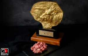 Kobe Beef | A5 Wagyu Beef Steak Cubes-Premium Loin (2 pkgs)