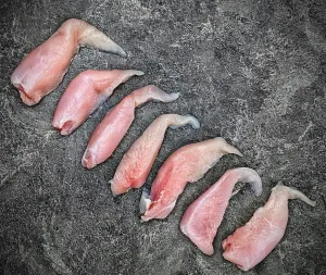 Louisiana Alligator Tenderloin