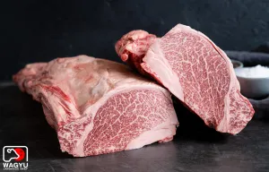Motobu Gyu | A5 Wagyu Beef Whole Tenderloin