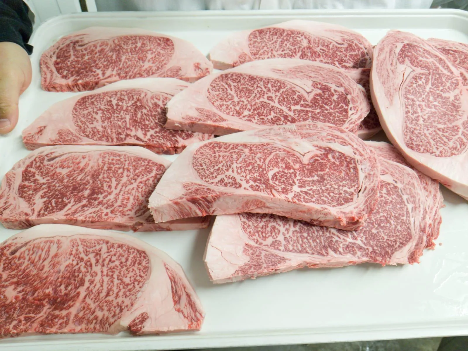 Ribeye Steak | A5 Miyazakigyu Japanese Wagyu