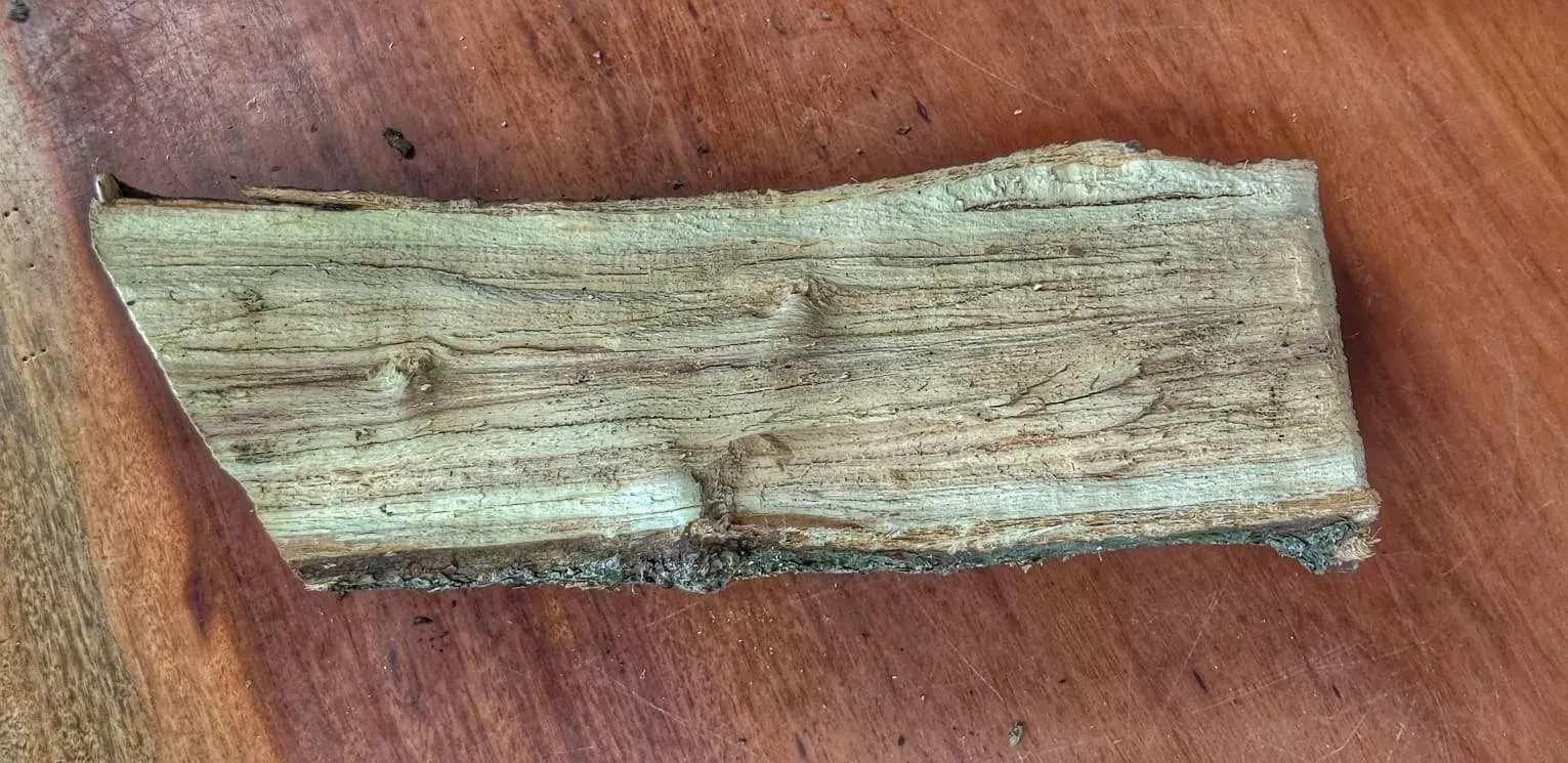Smoking Wood Log