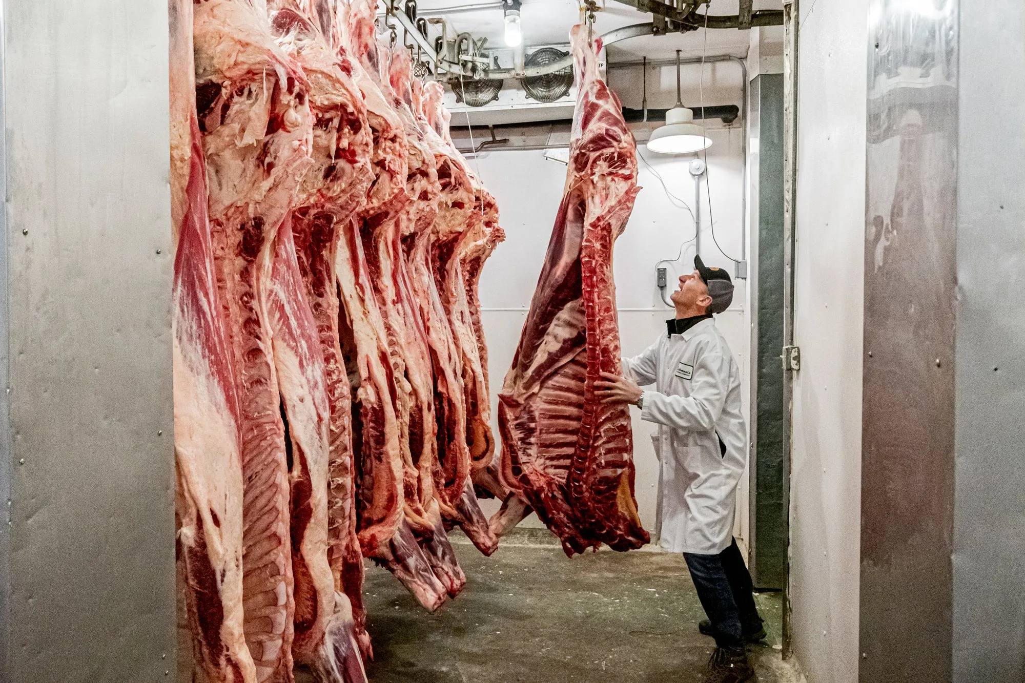 UNAGED BEEF SHARE