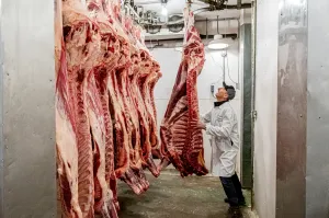 UNAGED BEEF SHARE