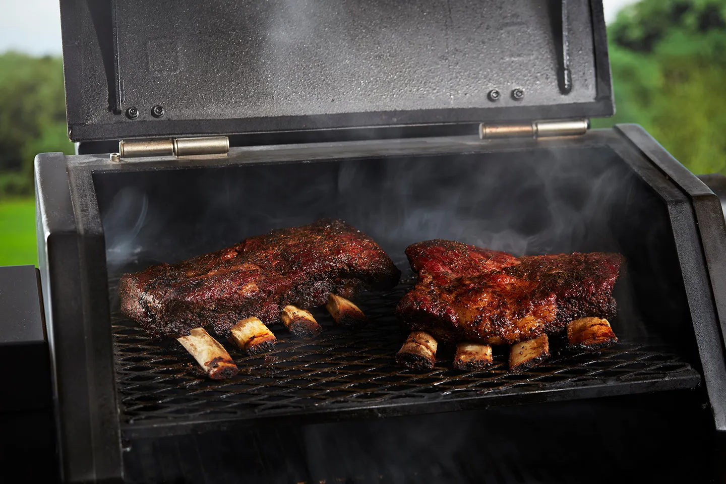 USDA Prime Bone-In Chuck Short Ribs