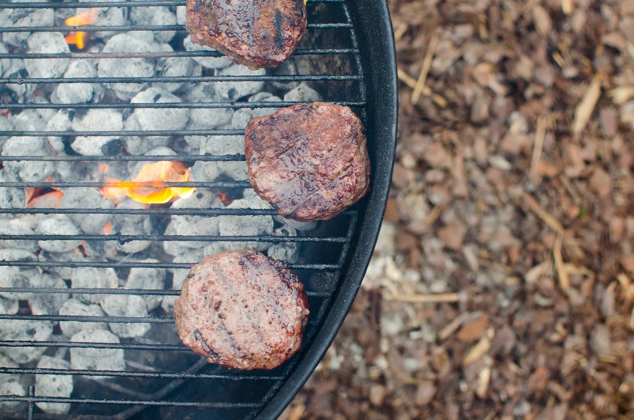 WAGYU HAMBURGER — NOW 30% OFF