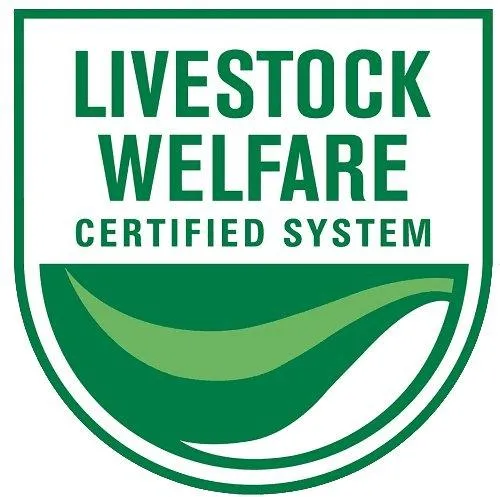 Young Prime Grass Fed Flank Steak 200G